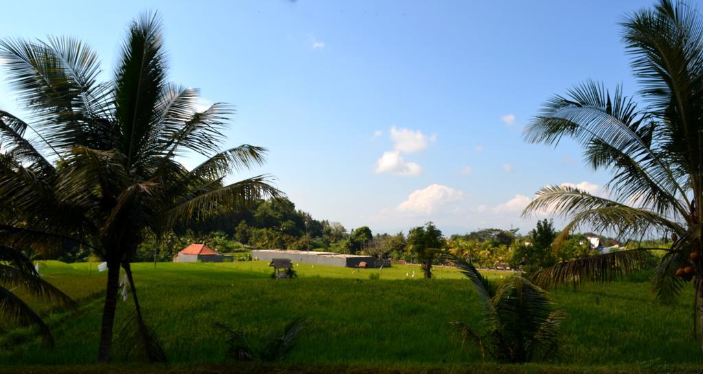 Wahyu Dewata Hotell Payangan Exteriör bild